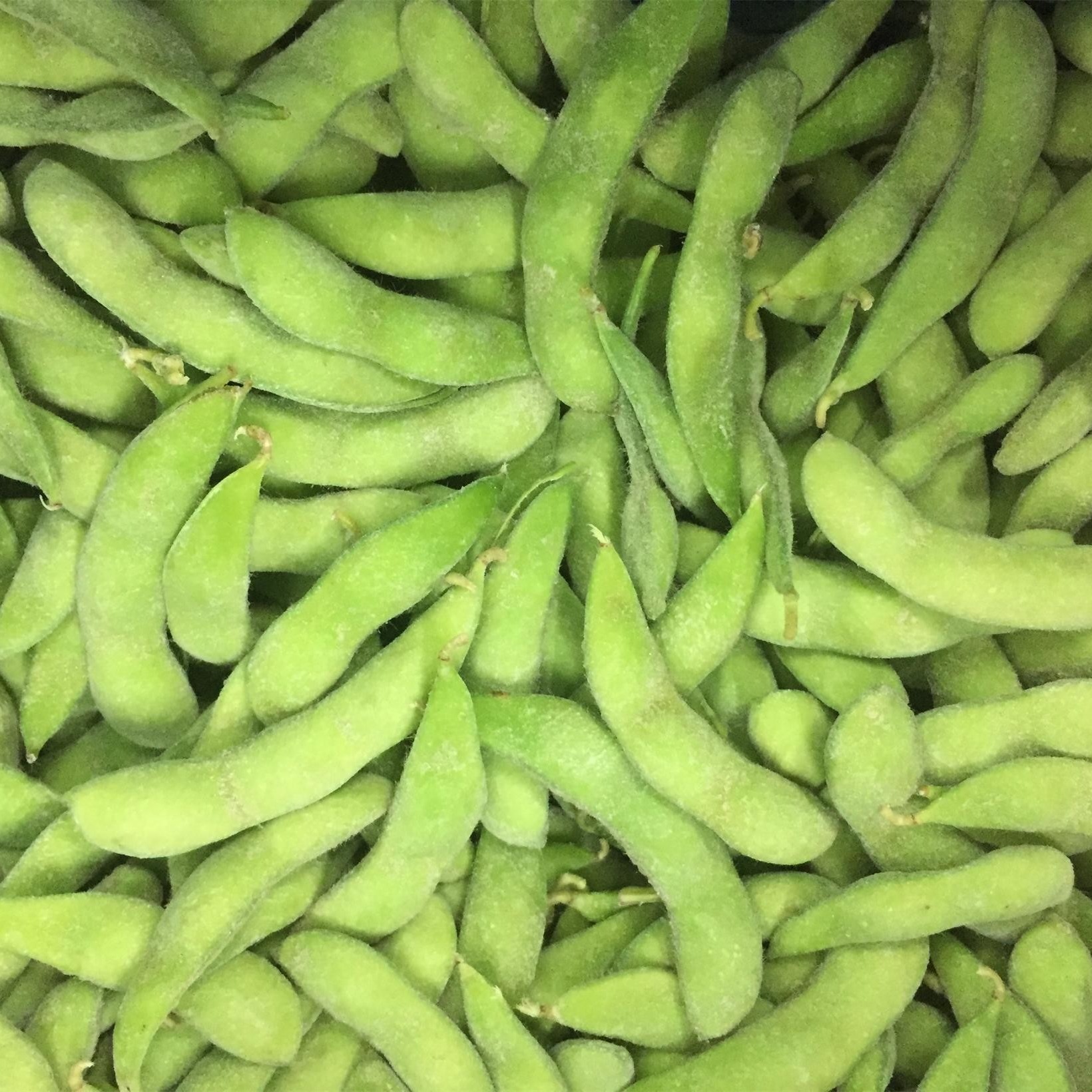 HACCP KOSHER Frozen Shelled Edamame Beans Japanese Style