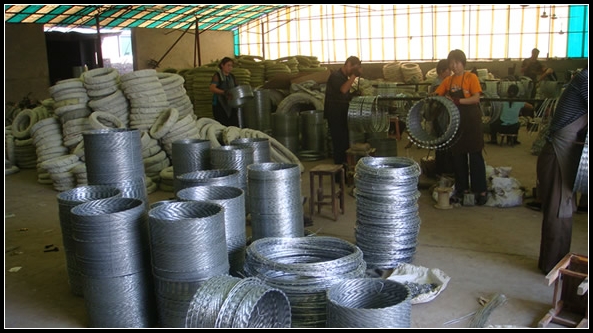 Hot Dipped Galvanized Razor Wire