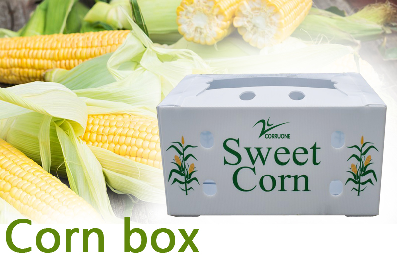 Custom-Designed Fruit Corrugated Boxes for shipping