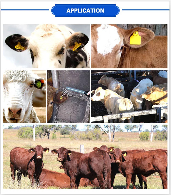 electronic UHF Sheep Ear Tags Longer Distance Reading