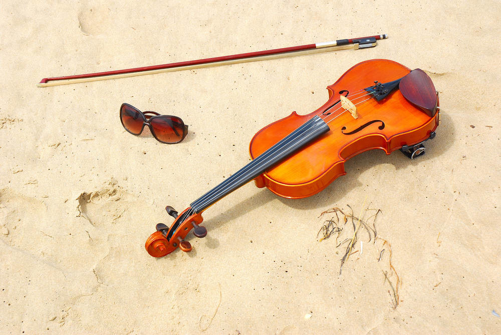 4/4 Full Size Student Beginner Violin (VG001-HPM) Wholesale Price Handmade High Quality Colorful High-gloss 4/4 size