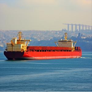  International Ocean Freight forwarding Services LCL FCL Agent From China to Peru Manufactures
