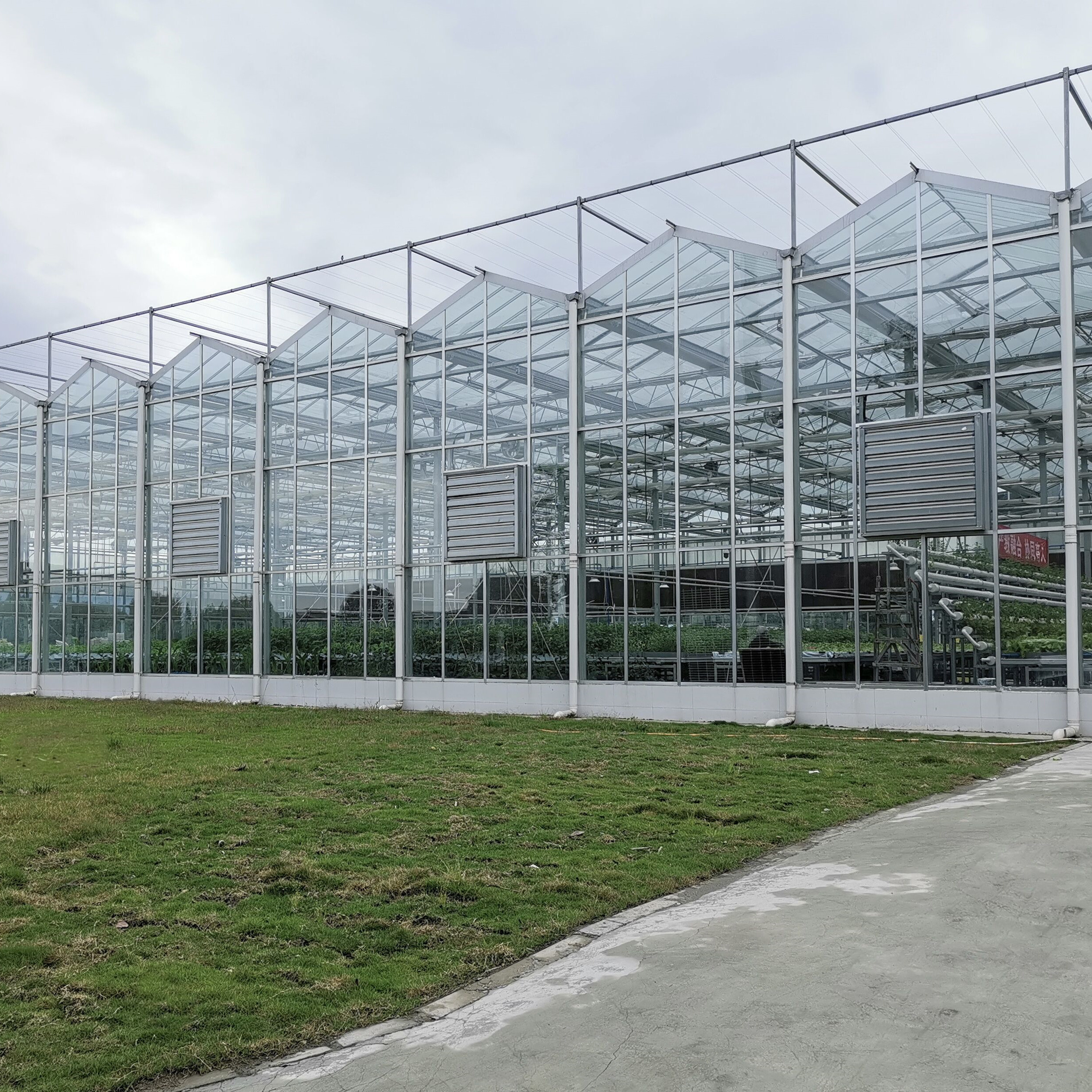 Multi-Span Greenhouse Duble Plate Glass Galvanized Greenhouse Structure Glass Dutch Greenhouse Vertical