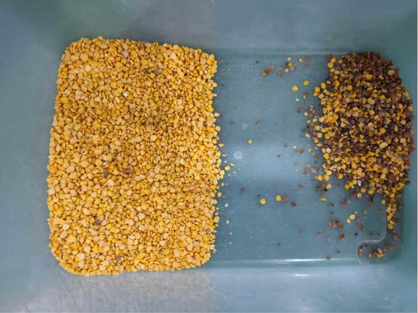 Coffee Beans Color Sorter , Electronic Colour Sorter 384 Channels 6 Chutes