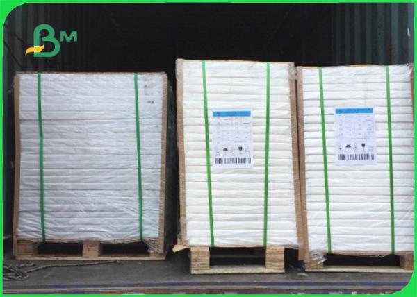 Paper Plate Raw Material PE Coated Brown Kraft Plain Paper 700mm Coils