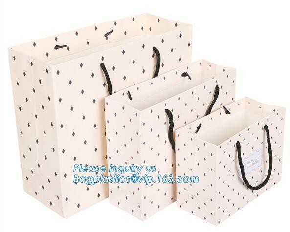 Luxury Paper Gift Carrier Shopping Bag Party Bag with Handles,printed paper carrier bag for apparel shopping bag, bageas