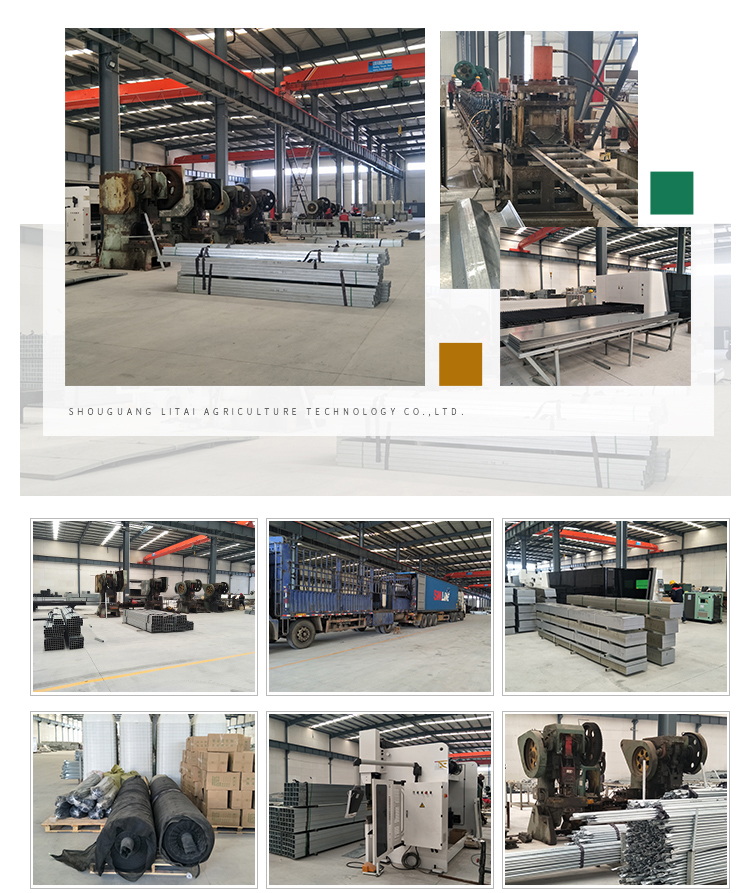 Insulation Agricultural Plastic Film Greenhouse for Single-Span at in 6m 8m 10m Width