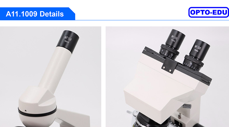A11.1009 1000X LED Light Source Biological Microscope For Student / School