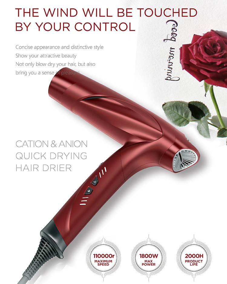 Low Noise Ion Hair Dryer With Nozzle Hot & Cold Air Speed Adjustment Styling Tool