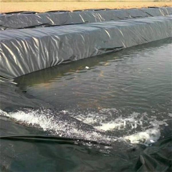 LLDPE 0.5mm Geomembrane Water Storage Membrane for Durable Black Fish Pond