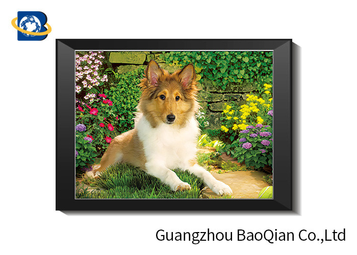 3D Lenticular Printing Products , 3D Lenticular Printing Pictures For Wholesale