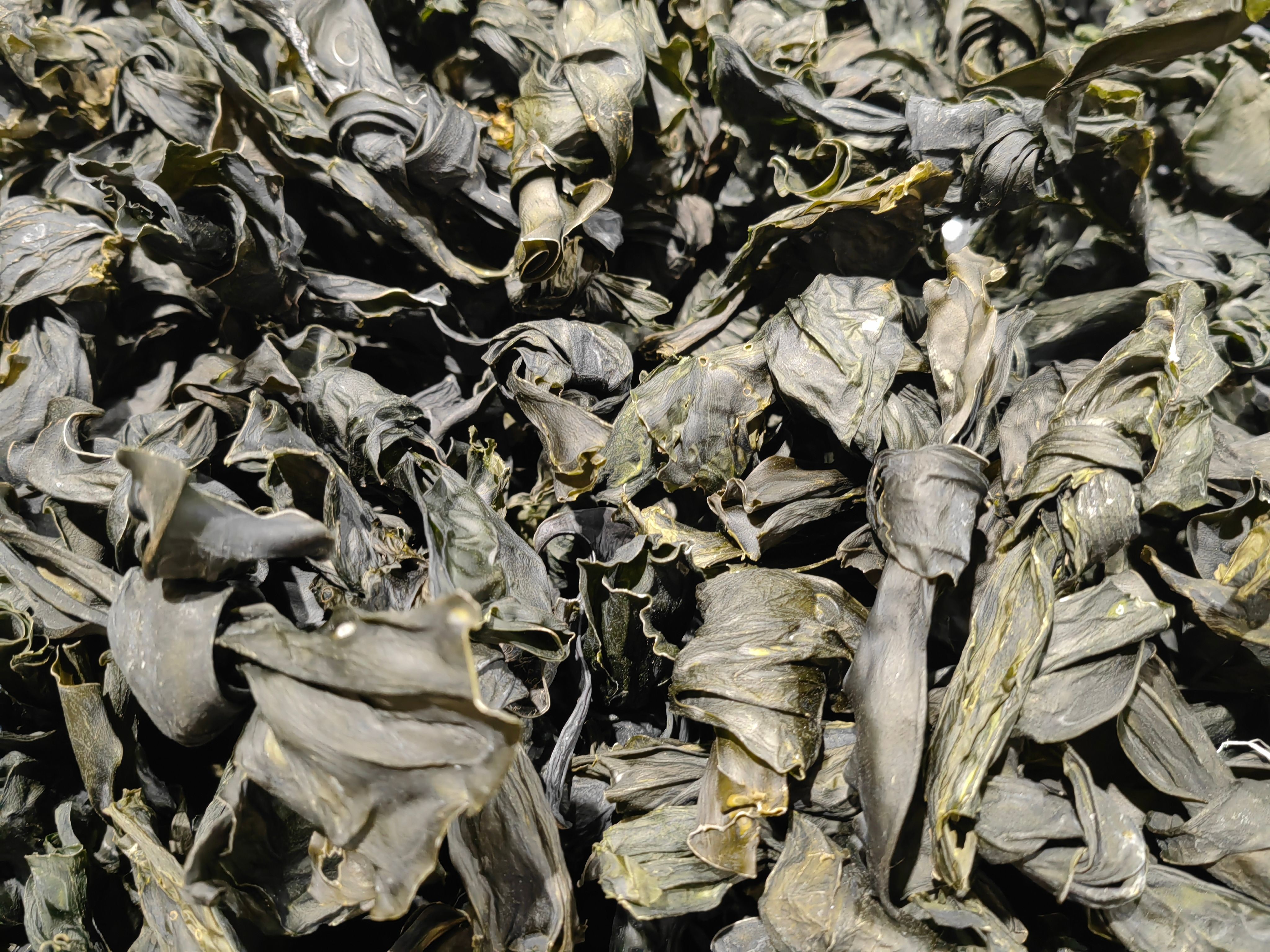 HACCP Certified Crispy Sea Kelp Sprouts Umami Flavor Natural Enhancer for Culinary Delights