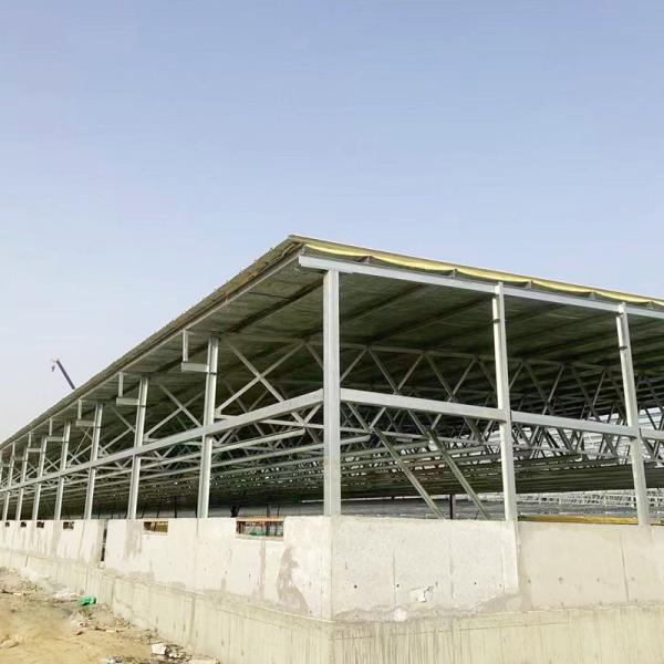 low cost Prefabricated Steel Structure Cow Shed Farm goat house steel structure
