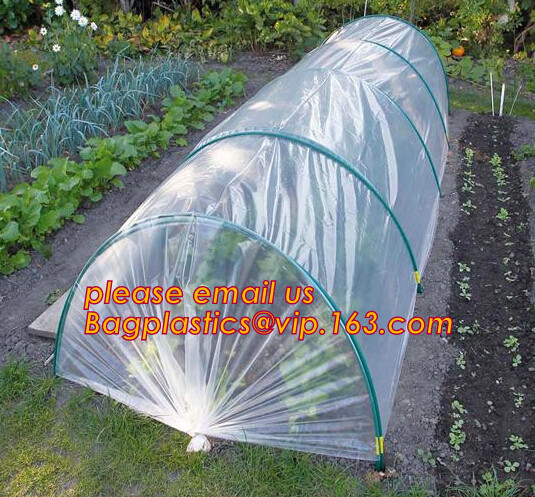 Multi-Span Plastic Film Cover Natural Ventilation Vegetable Greenhouse,Greenhouse Kits Plastic Greenhouse 200 micron gre