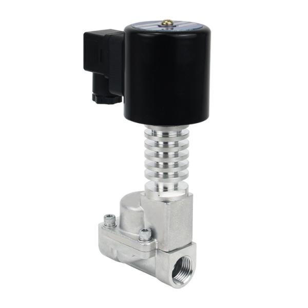 300 Degree High Temperature 24V Stainless Steel Steam Solenoid Valve With PEEK