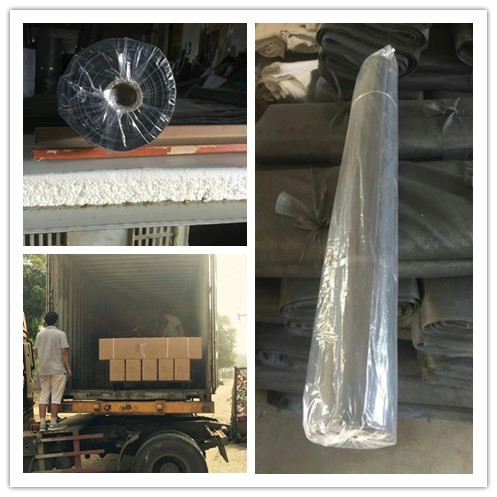 Plastic Door Window Roll Fly Screen Mesh Custom Dust Proof Pe Net Long Life