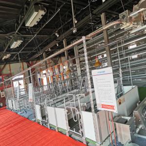 Modular Steel Structure Poultry House with Automated Ventilation