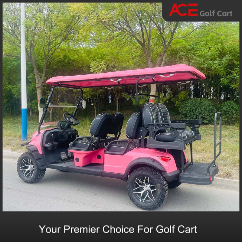 EV Lithium Golf Cart CE Approval Resorts Sightseeing 6 Seater Cart
