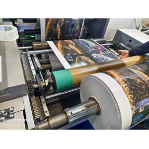 Top Grade Adhesive Label Printing with Sleeve Type Flexo Printing Machine