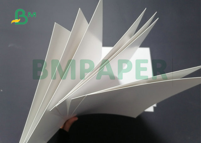 30 x 22.5" 325gsm 350gsm C1S Board White Food Board For Food Box Making 
