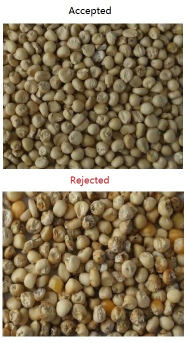 Corn malt Peanut soybean sorter