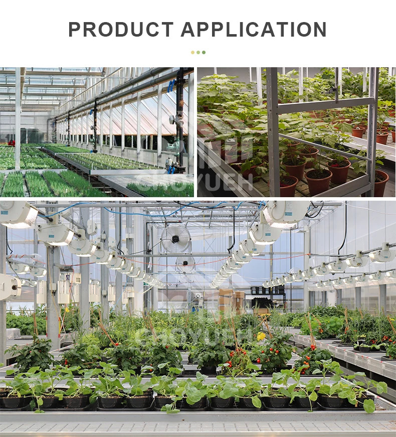 Hydroponic EBB And Flow Tray Grow Table System Agriculture Nursery Planting Flood Table ABSTray Rolling Bench Tray