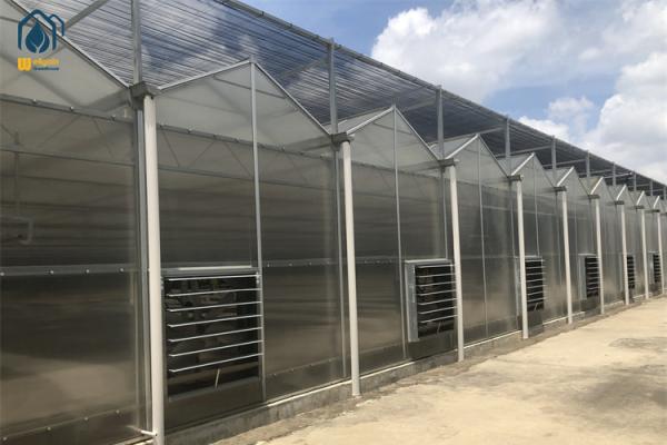 Commercial Herb Cultivation Polycarbonate Green House For Organic Vegetable