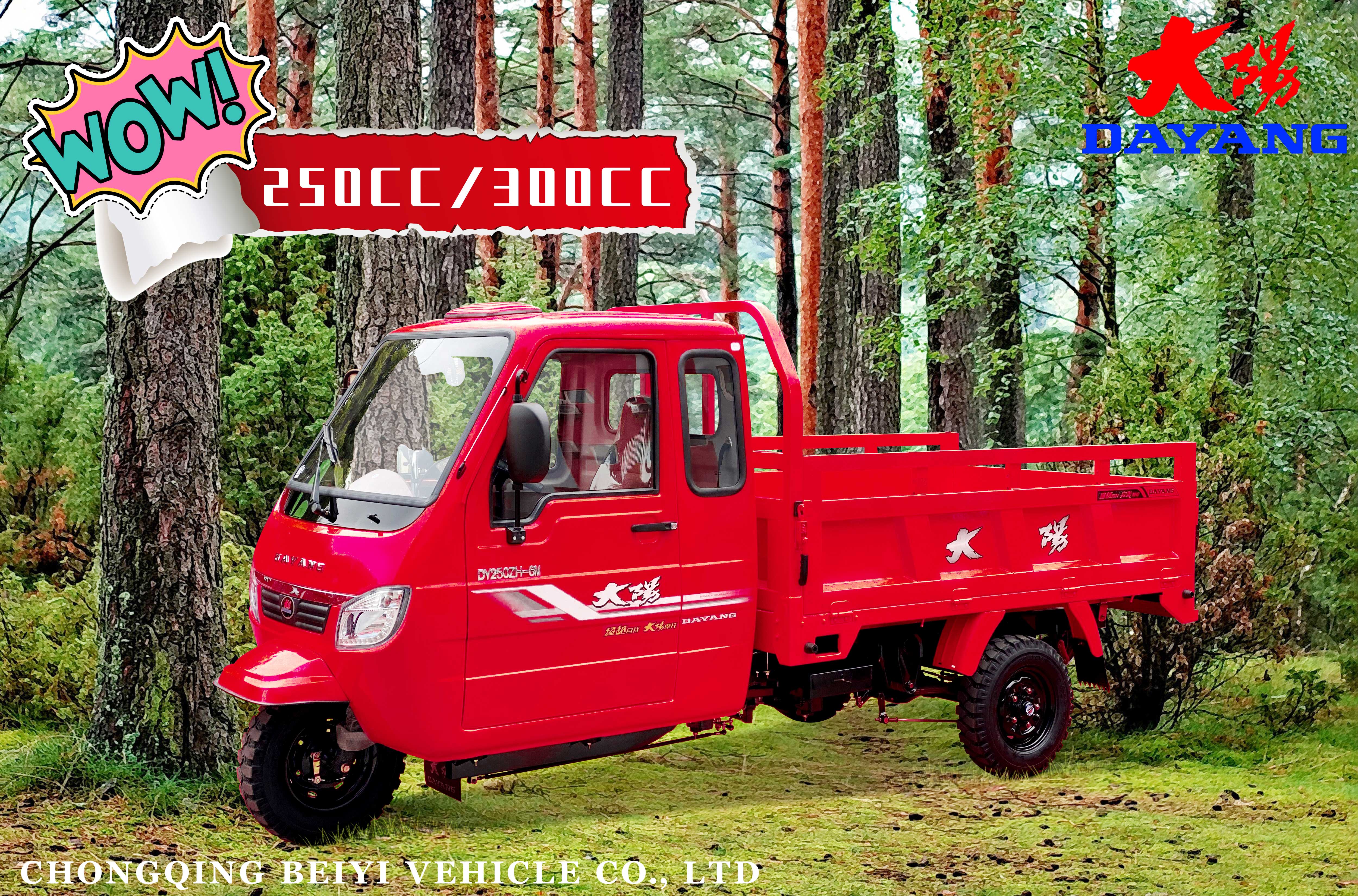 Customized 200CC 250CC 300CC 350CC Enclosed Cabin Cargo 3wheels Motorcycle Tricycle CCC Origin Type Mode Drum