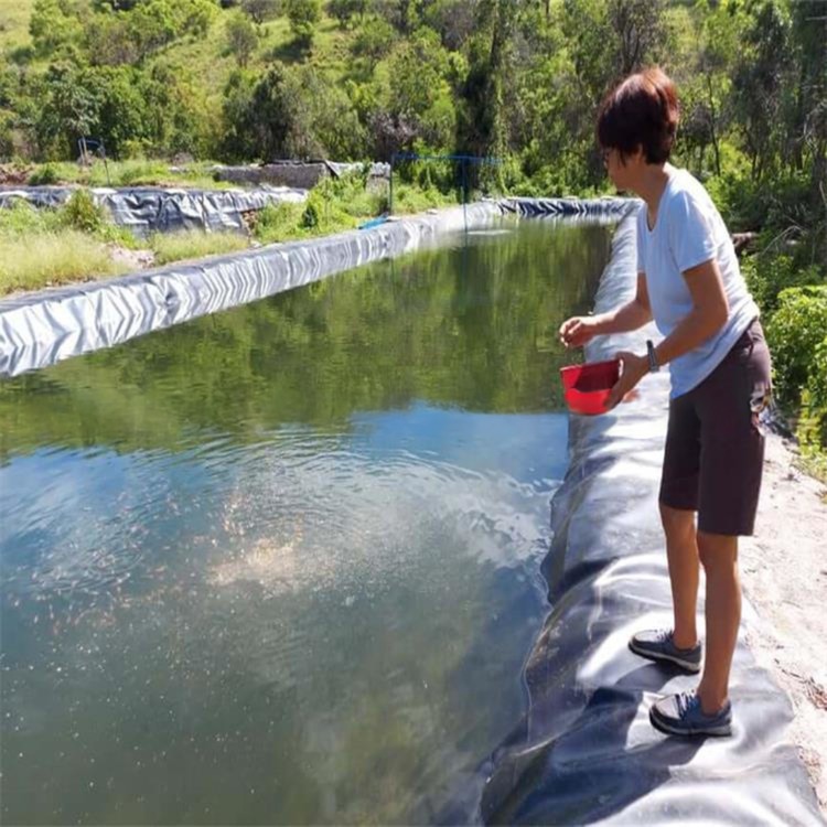 1mm HDPE Geomembrane Pond Liner for Dam Pond Project in Singapore Waterproof Black Blue