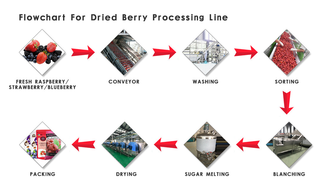 380V Dried Fruit Processing Equipment Raisin Processing Machinery 304 Stainless Steel