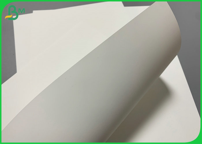 80um 100um Printed Waterproof Synthetic Paper Roll For QR Code Label 700 x 1000mm