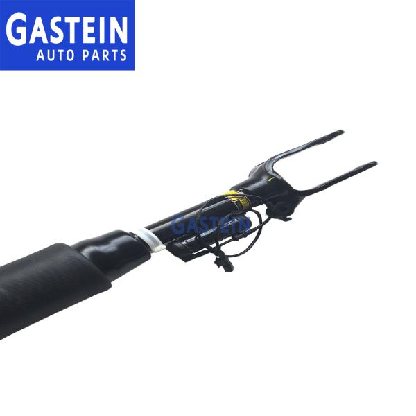 2153203113 2513203013 Front Air Ride Suspenion Systems