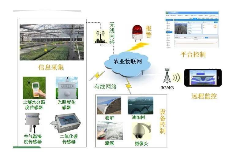 Vertical Farming Container Greenhouse with Substrate Culture System