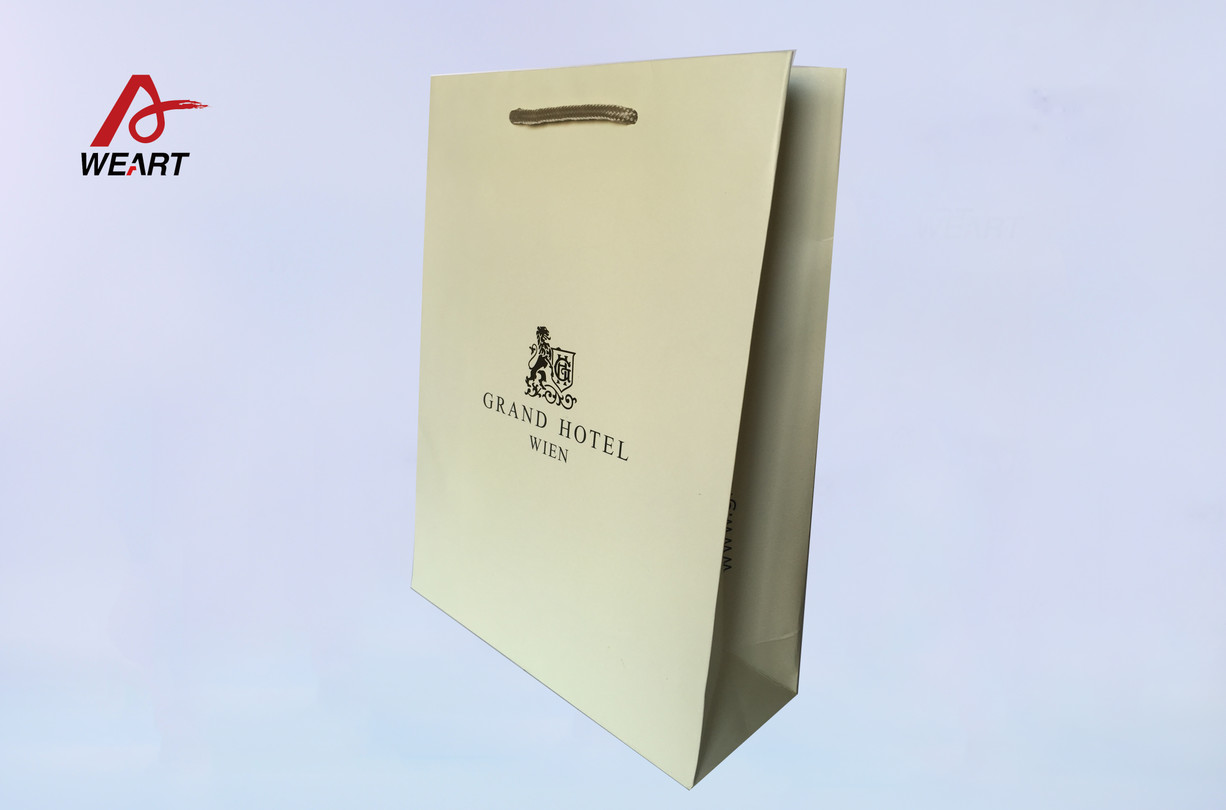 Kraft Brown Paper Bag Surface CMYK With Paper Twisted Handle For Shopping Bags