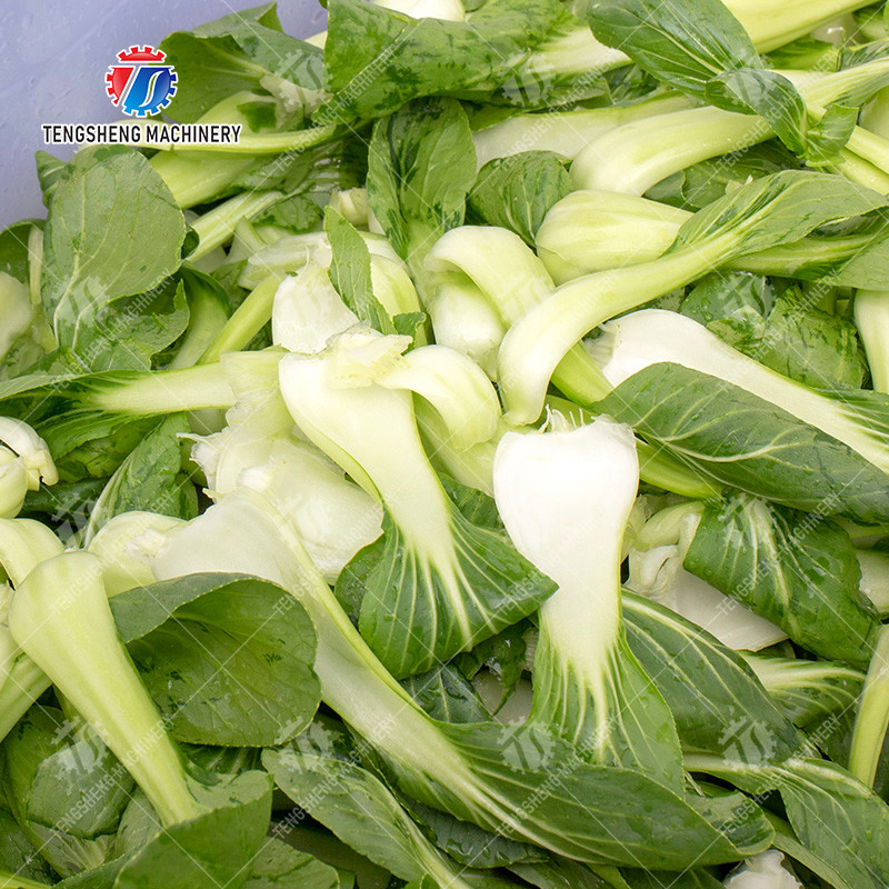 1.5KW Multifunctional Electric Fruit And Vegetable Slicer Adjustable Thickness