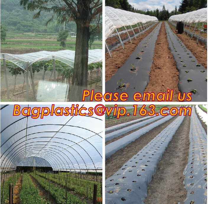 Transparent / Black / Silver / White color Plastic PE LDPE Agriculture Mulching Film,panda strawberry mulch film/black w