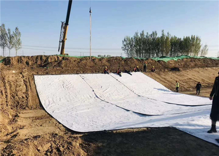 800g Non Woven Geotextile Polypropylene Fabric For Reinforcement