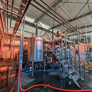 Multifunctional Tomato Processing Line With Turnkey Processing Adjustable