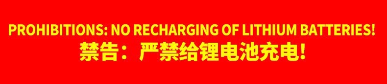 Pulse Repair Motorcycle Lead Acid Battery Charger 12V 6A