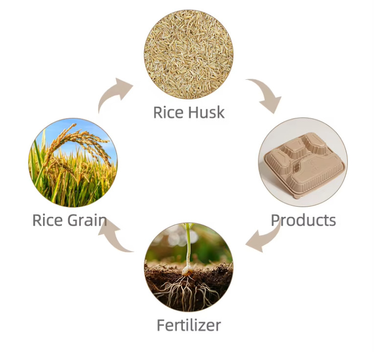 Eco-Friendly Disposable Rice Husk Fiber Clamshell Lunch Box Unbleached Biodegradable Food Container