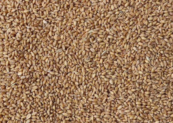 Small Agriculture Pulses Sorting Machine CCD Machine For Wheat