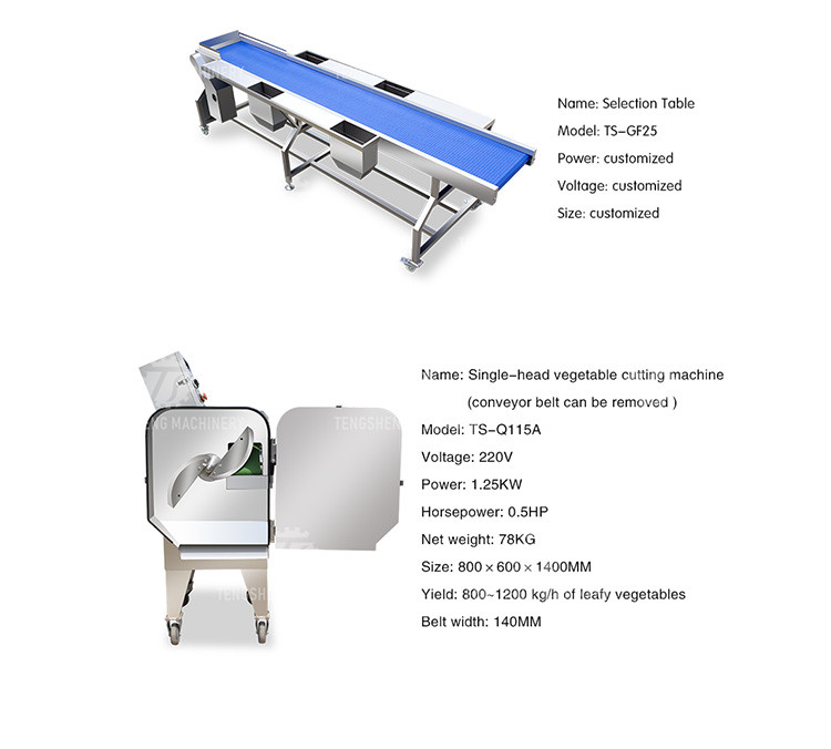 Vegetable Hair Roller Bubble Washing Selection Cutting Machine Production Line