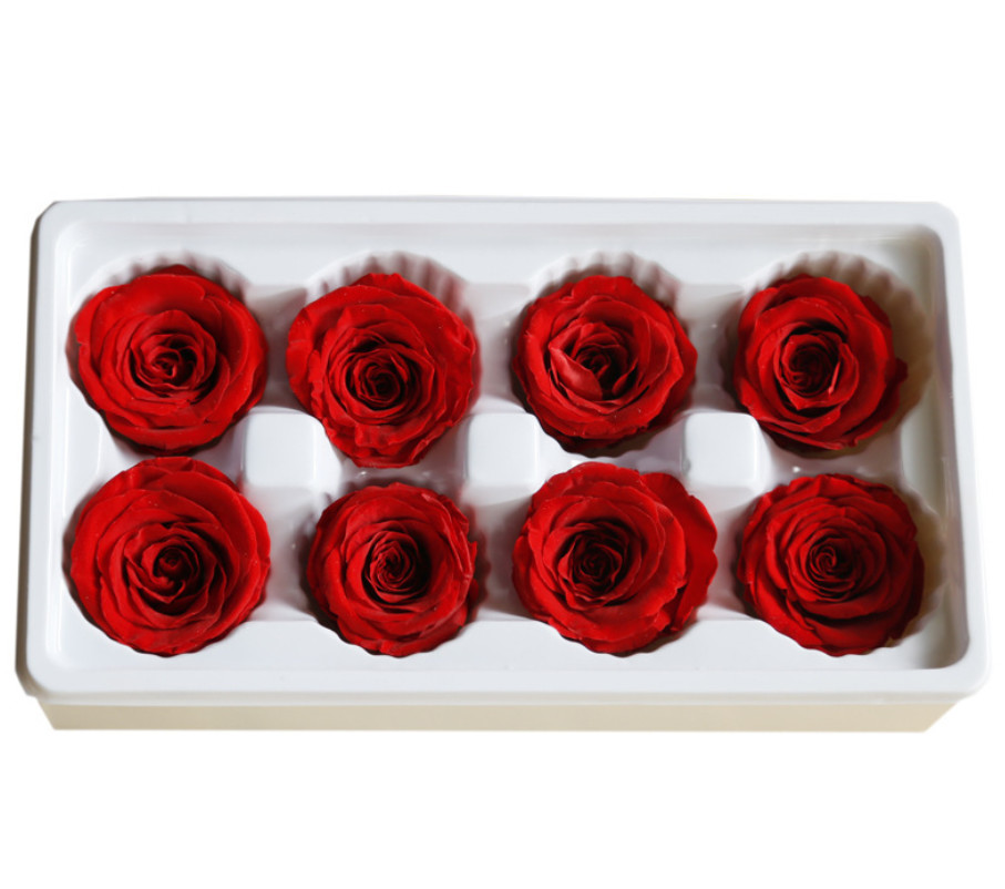 Natural preserved fresh flowers for Valentines day Never Withered Flowers Home Decoration