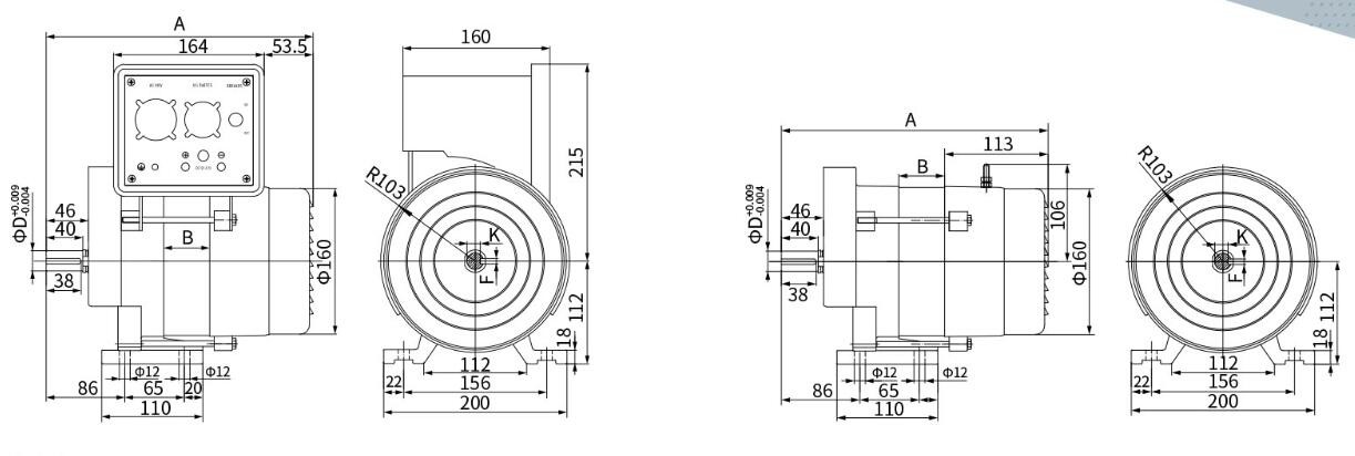 1.5KW AC DC Dynamo High Output Alternator High-Effency Key Shaft Alternator 19.05mm
