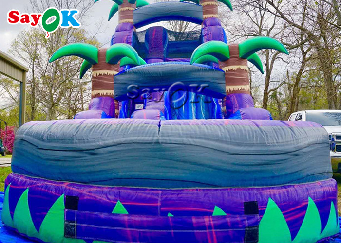 Outdoor Inflatable Water Slides Commercial Inflatable Slide Water Park Purple Crush Dual Lane Inflatable Water Slide