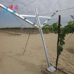Durable Y Shaped Open Gable Trellis System For Orchard Plantation Easy To
