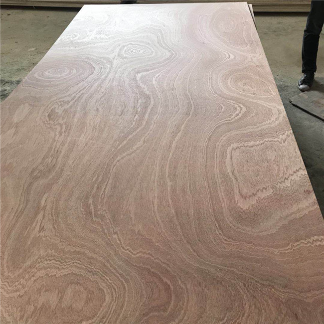 Sapele Face 1220mm 25mm Sapele Veneer Plywood