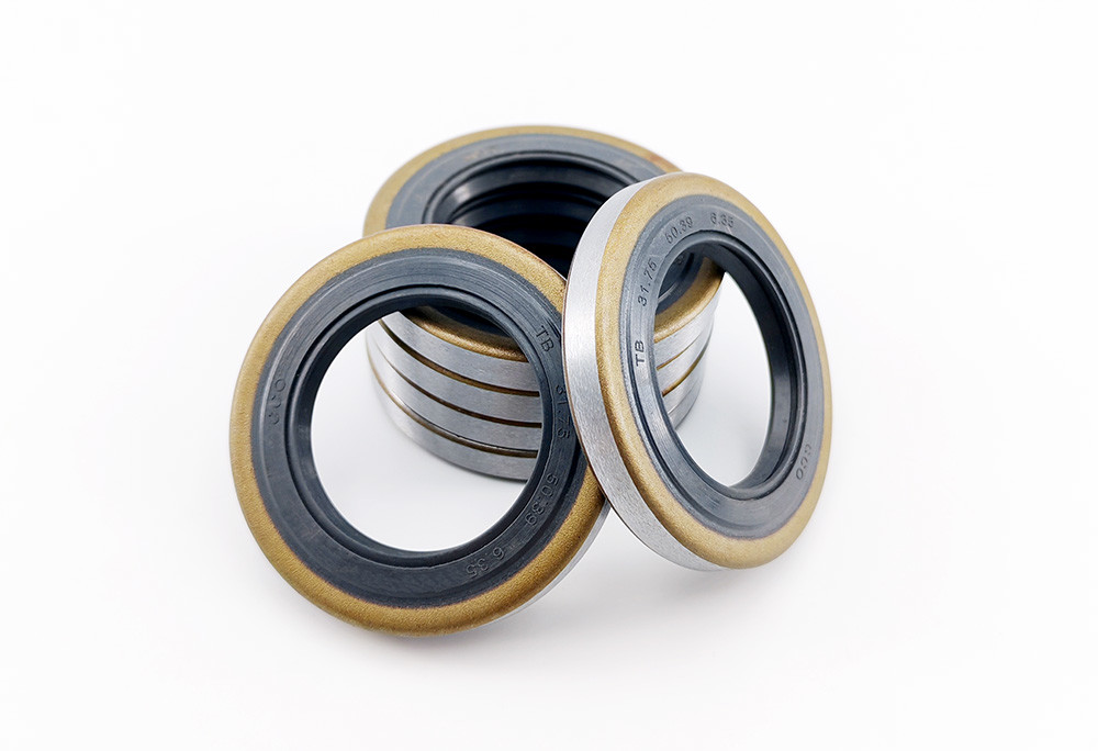 Double Lip Skeleton Oil Seals Rubber O Ring Oil Seal Hydraulic Pump Oil Sealing