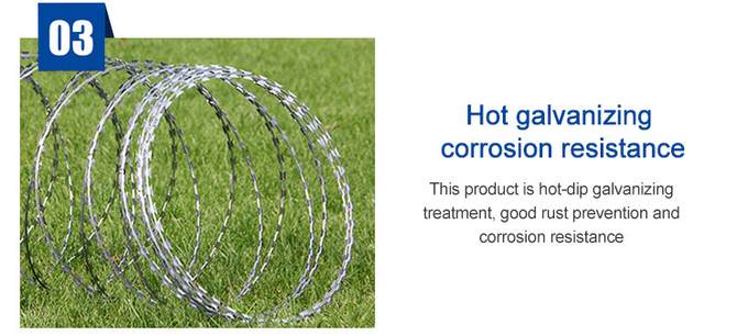 Anti Climb Razor Wire Galvanized Concertina Razor Blade Barbed Wire