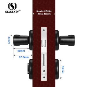APP WIFI Fingerprint Apartment Electric Bluetooth Gate Locks